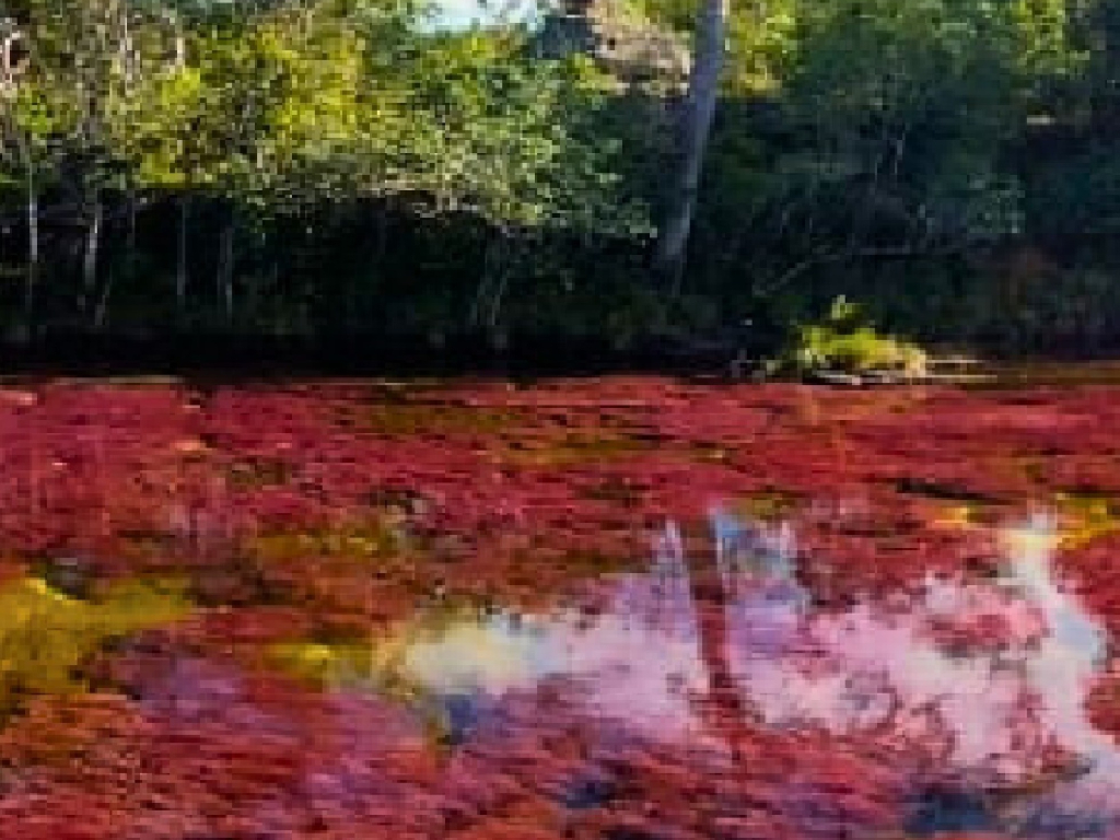 CAÑO CRSITALES ECOTOUR