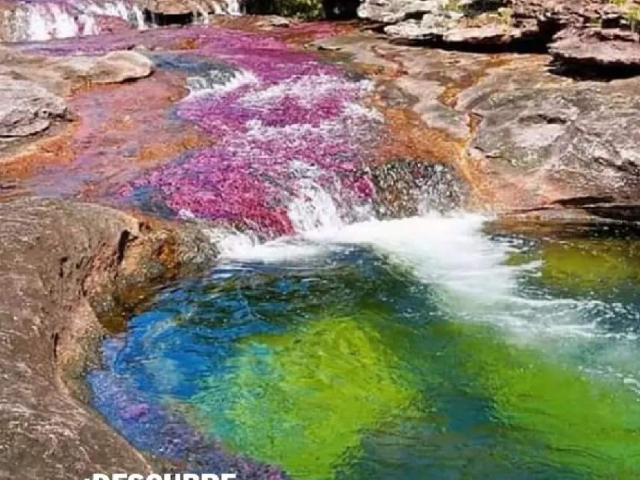 Tour caño Cristales