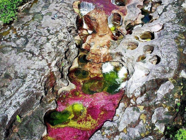 Tour caño Cristales