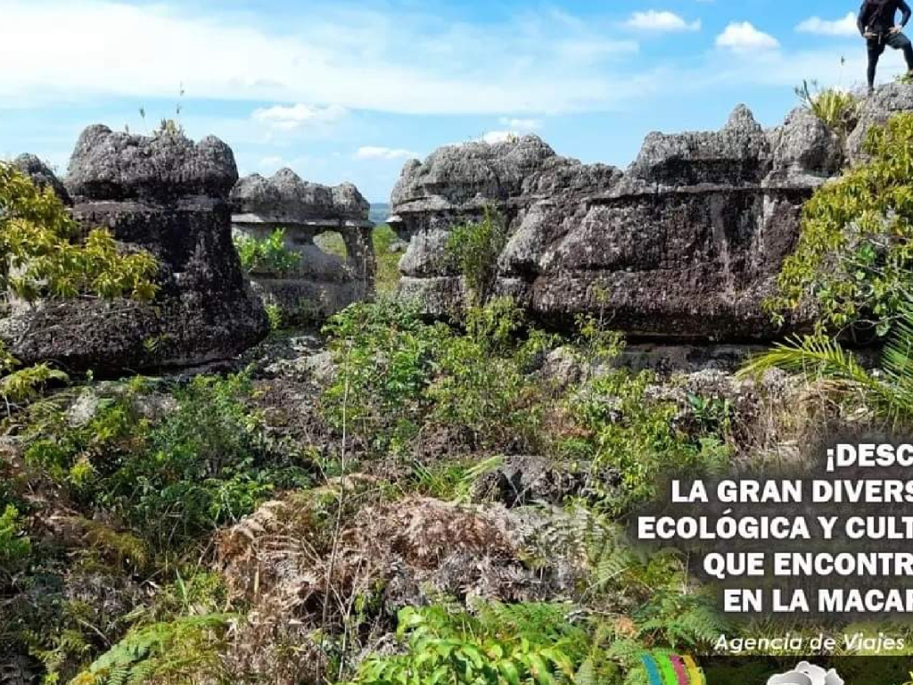 Tour caño Cristales