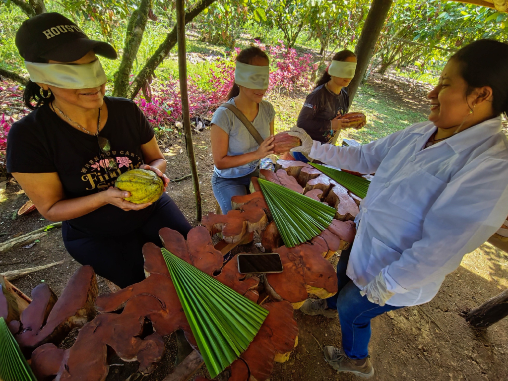 Experiencia Dormir en la selva del Putumayo. 4 días, 3 noches