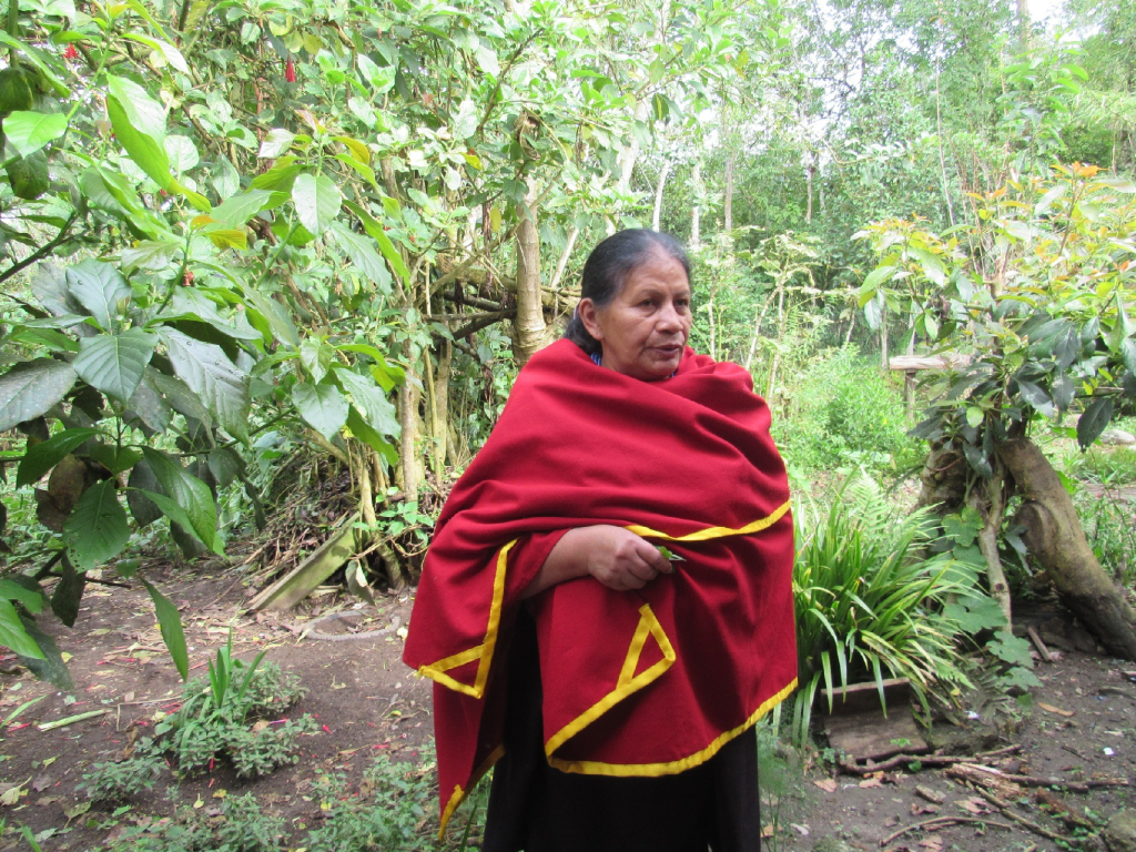 JARDÍN BOTÁNICO