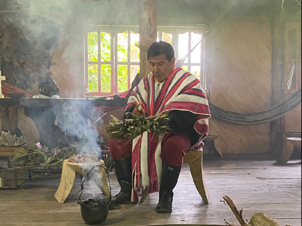 PREPARACION TOMADE REMEDIO ANCESTRAL (YAGÉ)