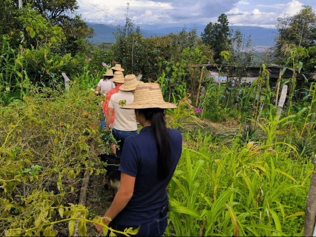 Macizo Colombiano, Naturaleza, cultura y conexión ancestral