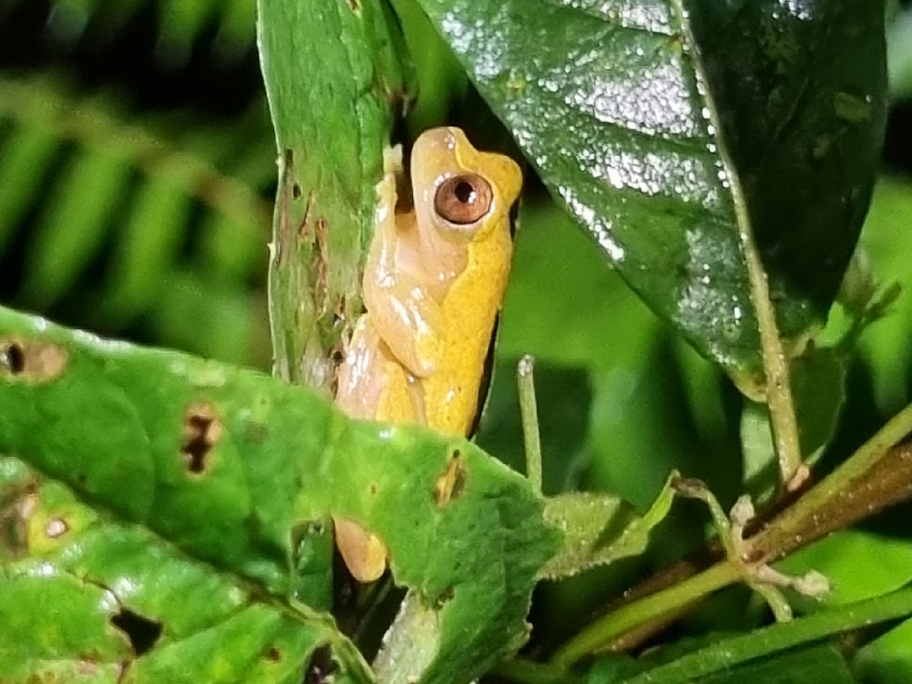 Aventura Colombiana
