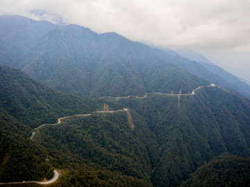 collection-img-1