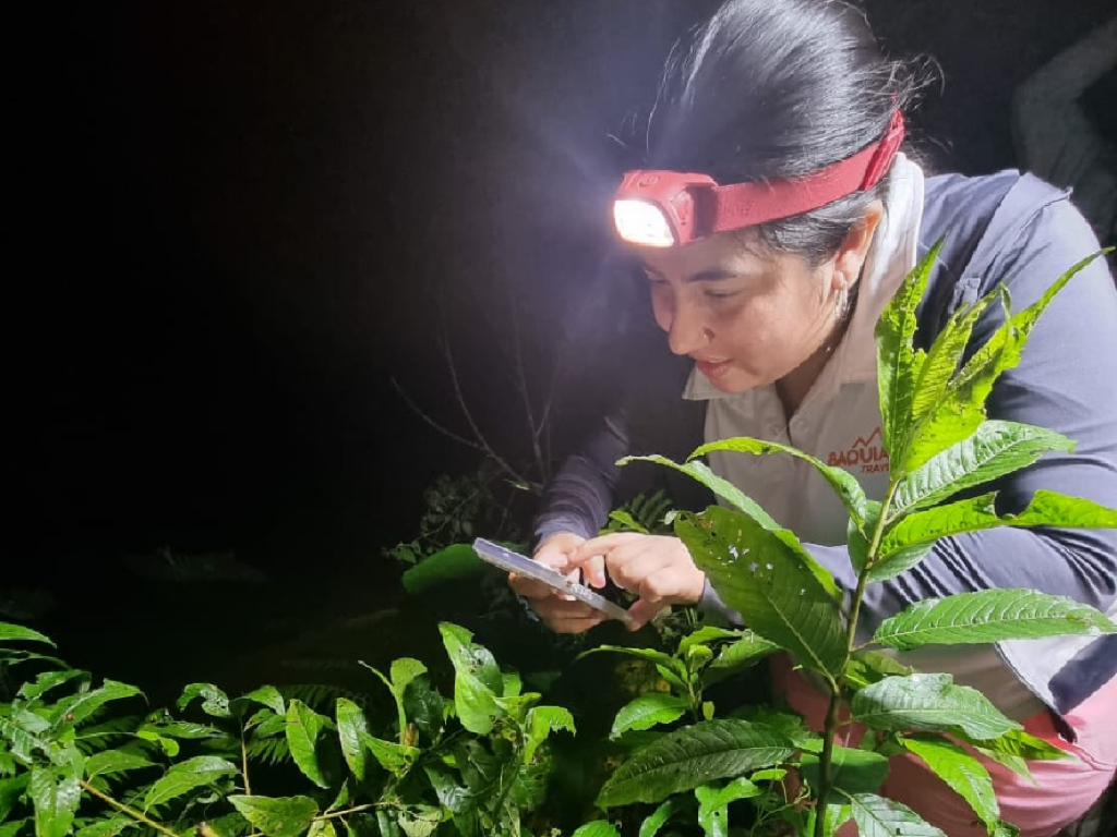Conexión con la selva. 3 días, 2 noches