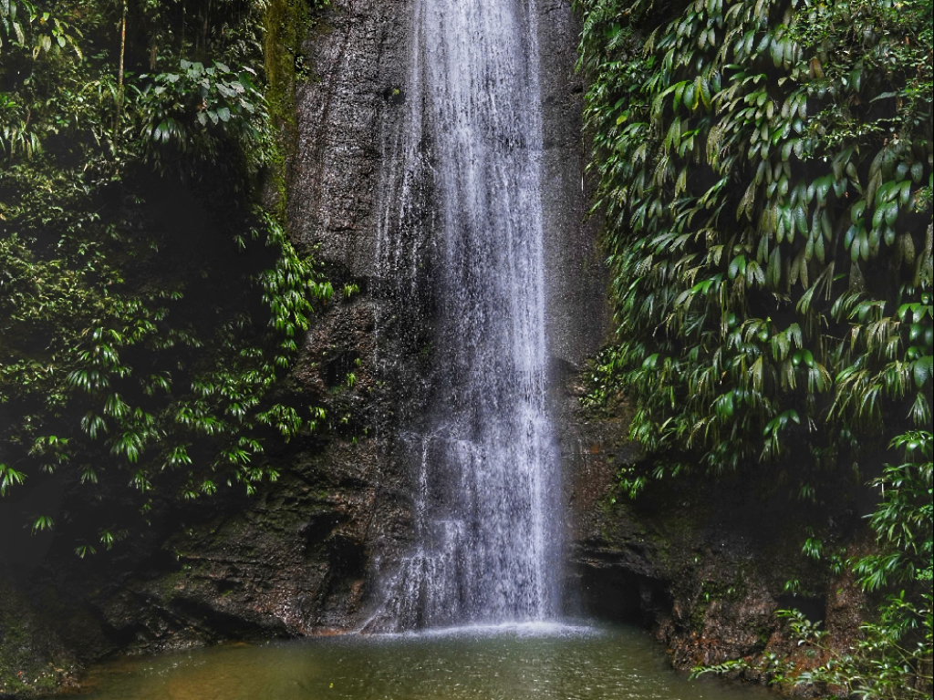 Lagrima del Gigante