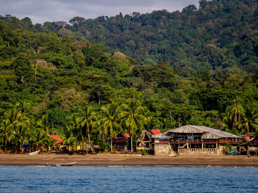 Bahía Solano Ballenas a la Vista 5 Dias