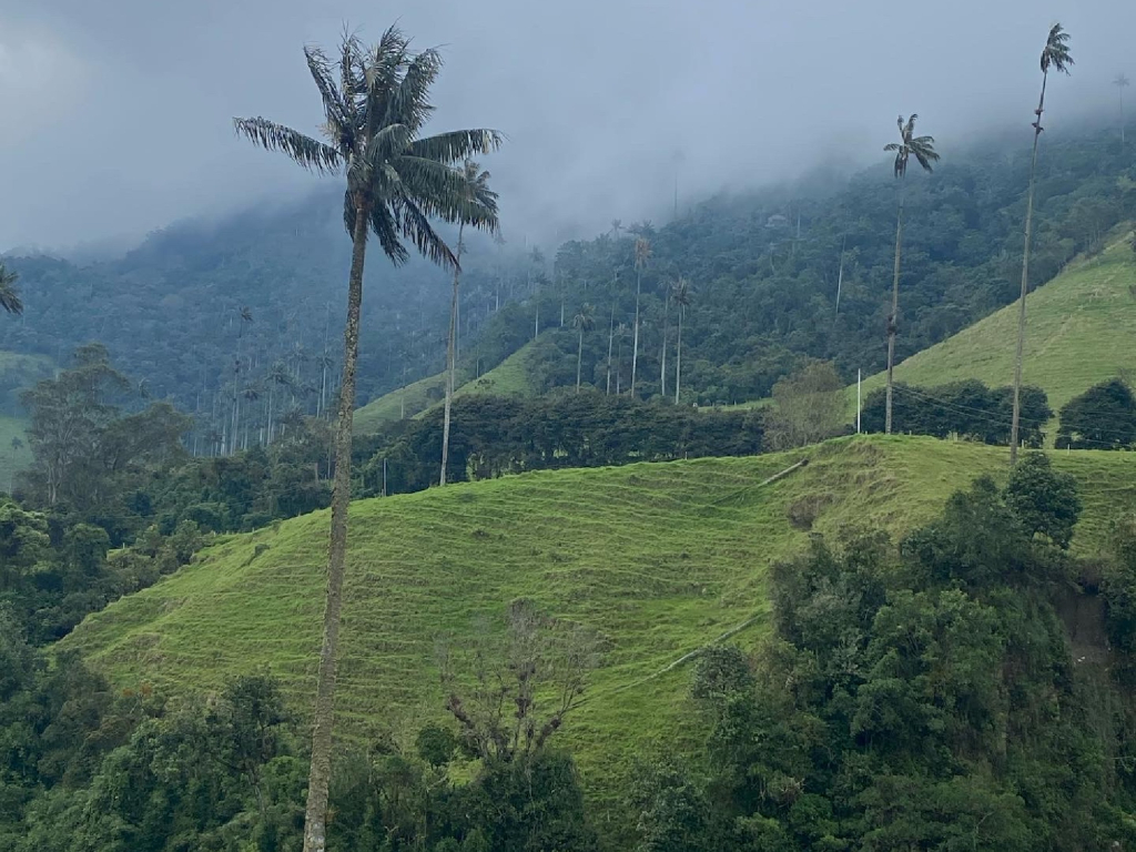 Aventura Colombiana
