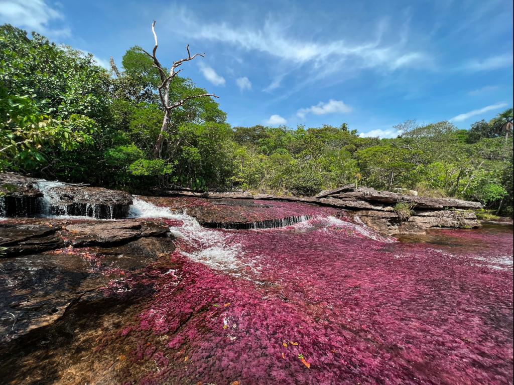 Guaviare - Naturaleza y Historia