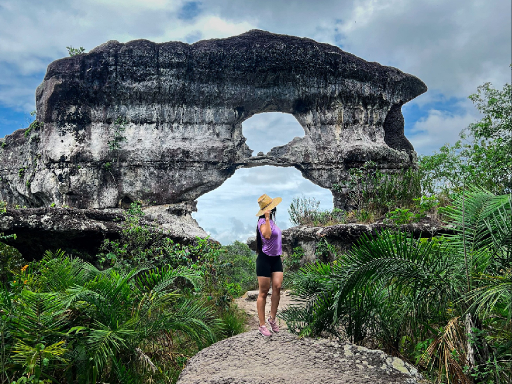 puerta orion guaviare