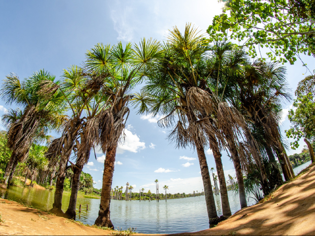 Conoce Puerto Rico, el municipio de las lagunas, en 4 días y 3 noches