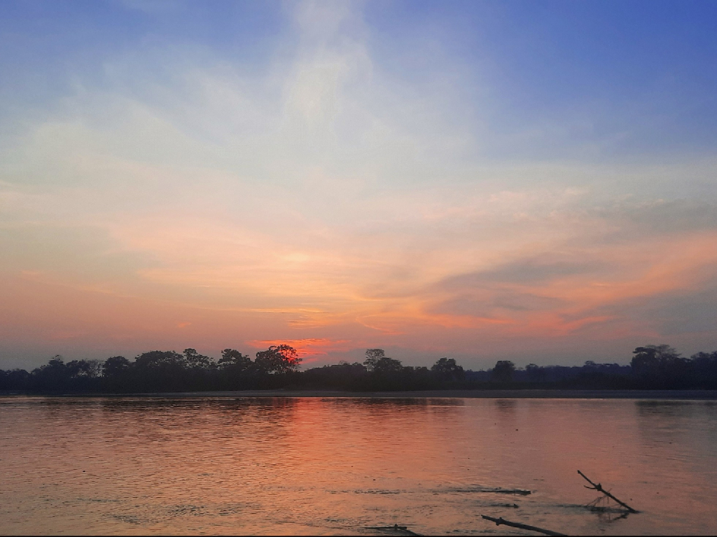 Navega el Río Ariari y descubre una parte del hogar de las toninas