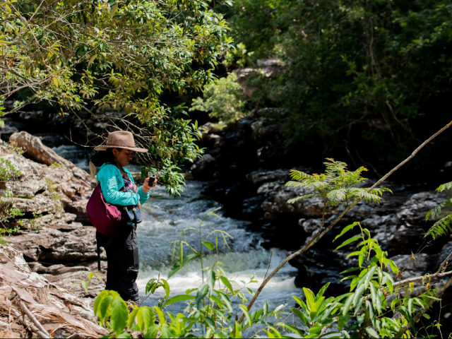 Conoce Caño Cristales de colores y Caño Cristales Selva