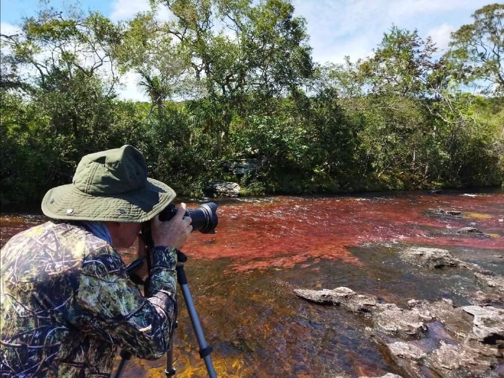 Conoce Caño Cristales de colores y Caño Cristales Selva