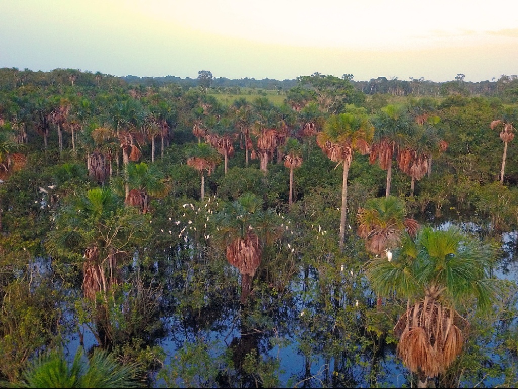 Un día en la Laguna del Silencio: Los mensajes del agua