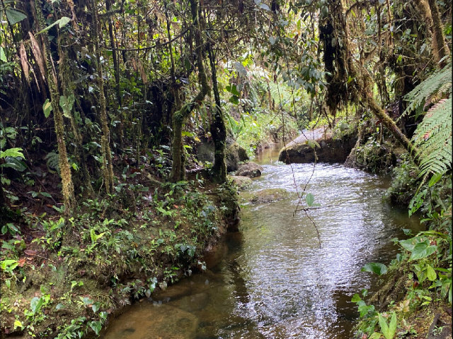 RESERVA NATURAL MONTELORO