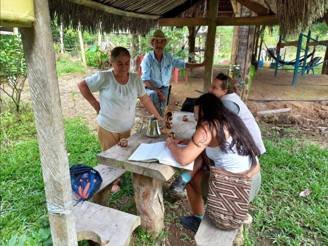 Visita y disfruta de la arazá y la cocona en la ruta de las frutas amazónicas