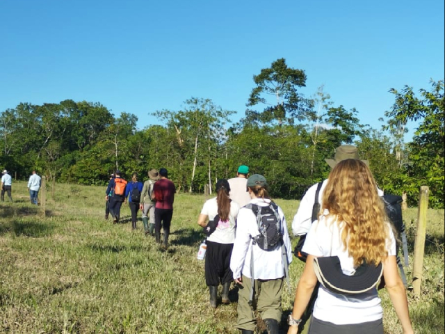 Visita y disfruta de la arazá y la cocona en la ruta de las frutas amazónicas