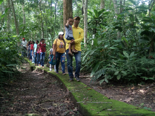 RUTA ENERGIA VERDE