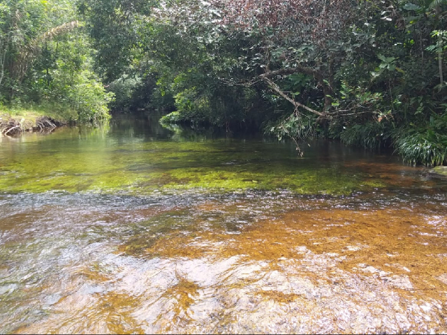 Charco Beraca