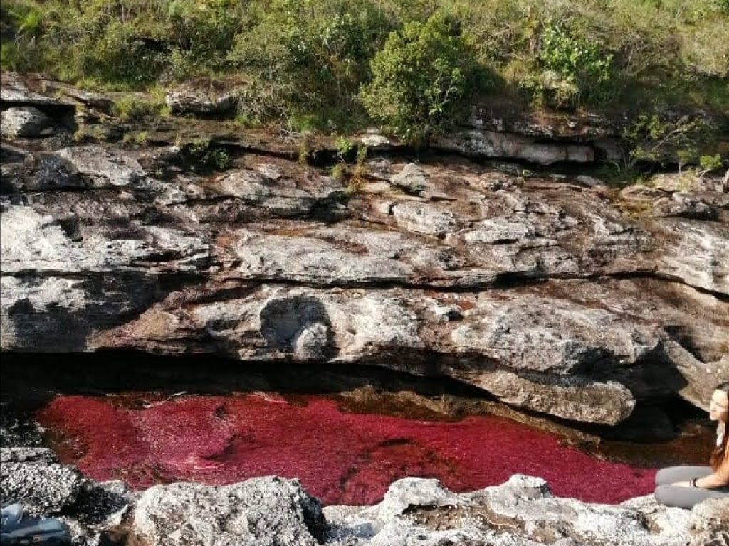 4 días explorando la Laguna del silencio y Caño Cristales desde La Macarena