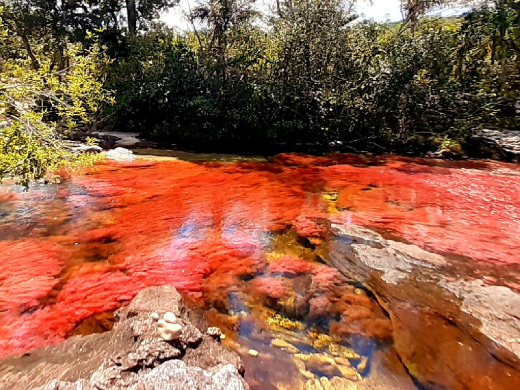 4 días explorando la Laguna del silencio y Caño Cristales desde La Macarena