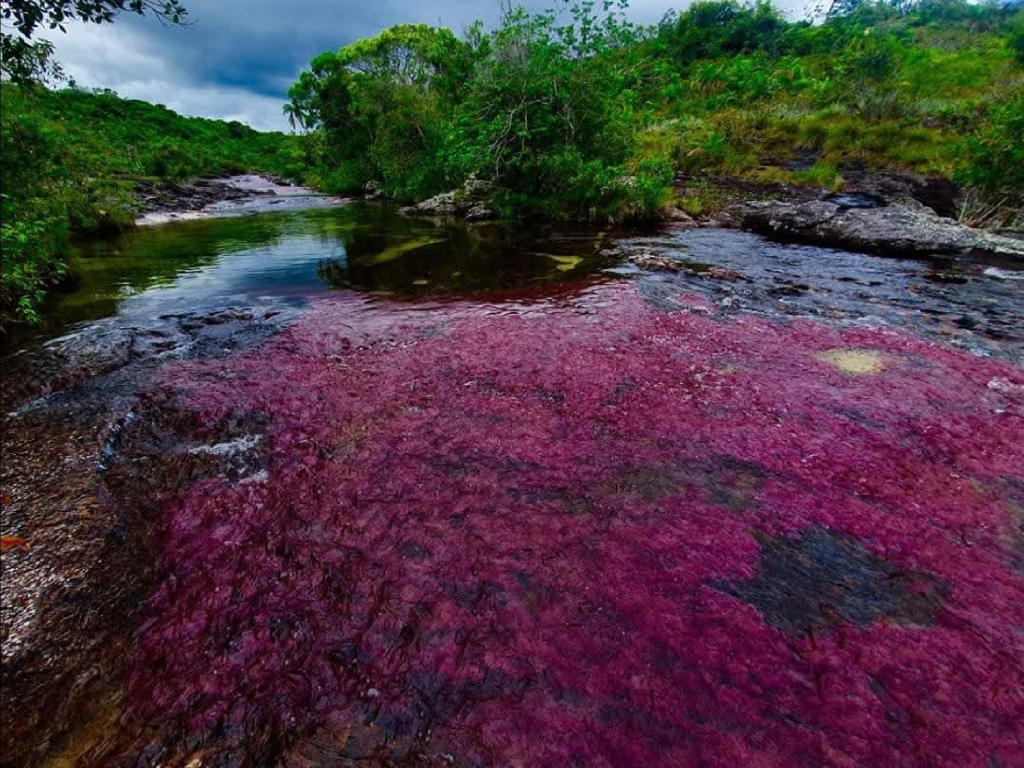 4 días explorando la Laguna del silencio y Caño Cristales desde La Macarena