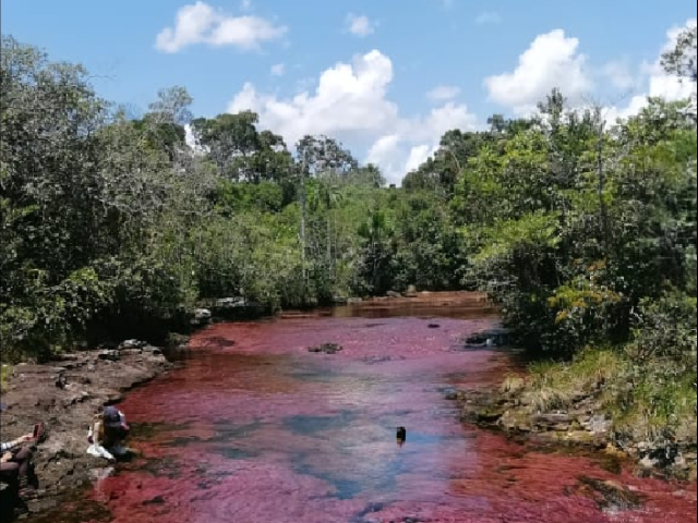 Tour Caño cristales