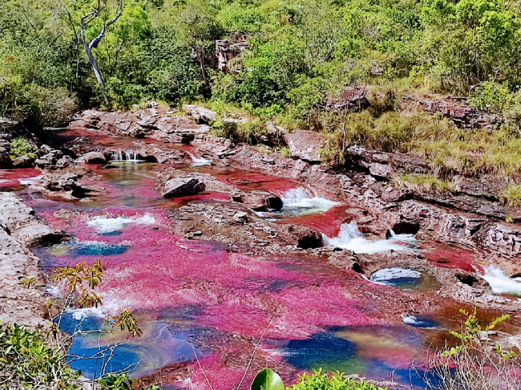 Tour Caño cristales