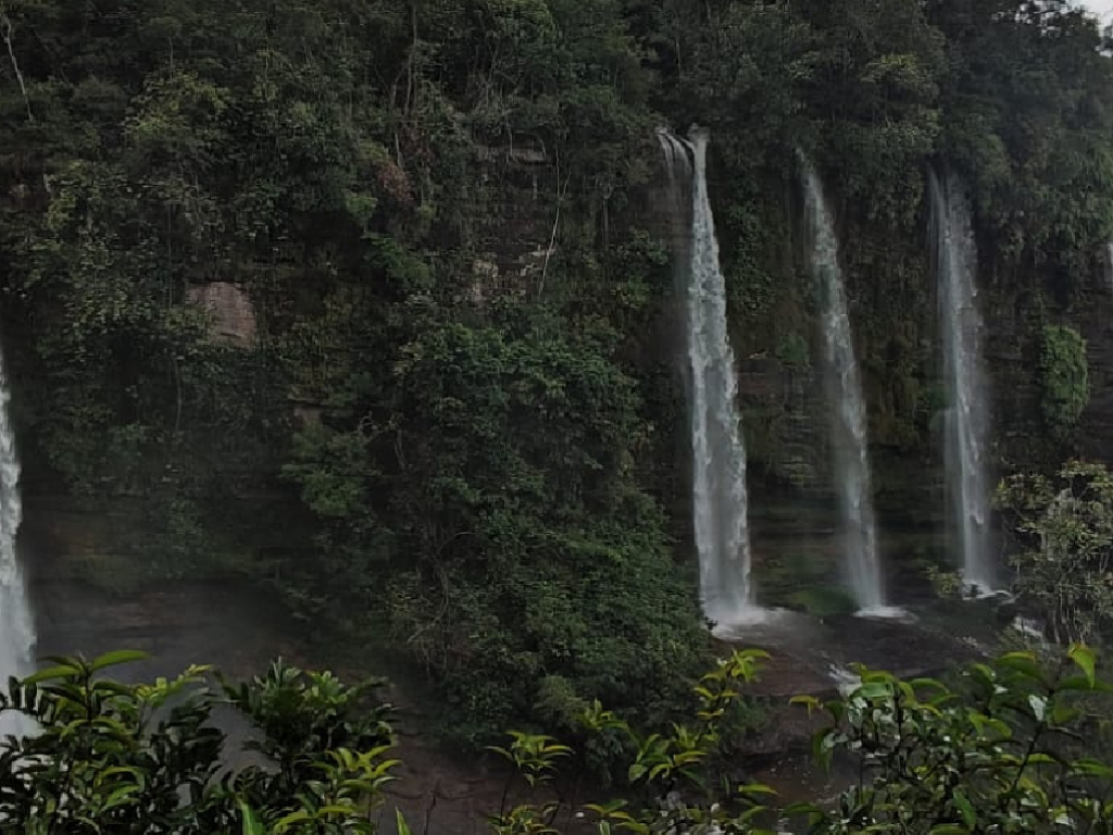 Tour Caño cristales