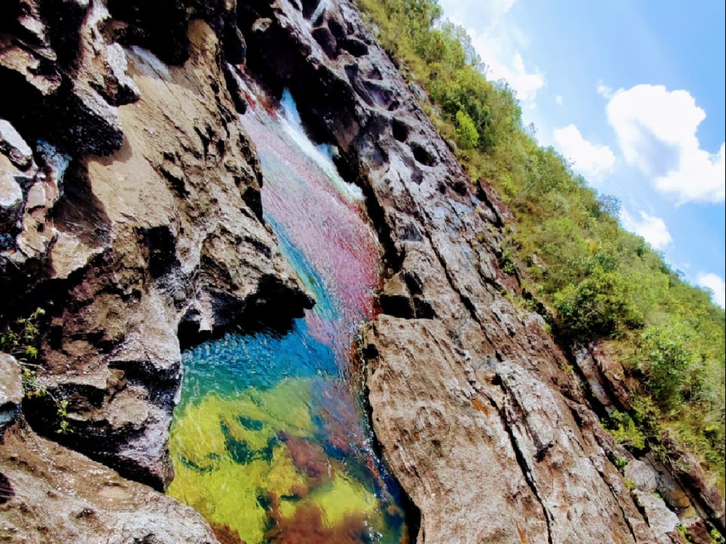 Tour Caño cristales