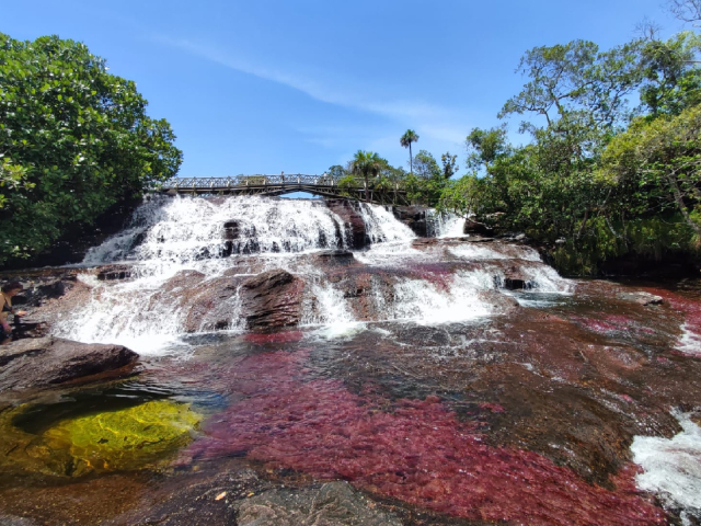 Tour Caño cristales