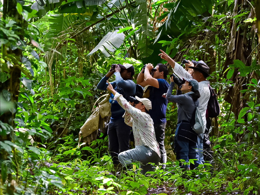 EXPLORANDO LA SELVA Y EL CHOCOLATE SOSTENIBLE EN VISTA HERMOSA. PASADÍA.