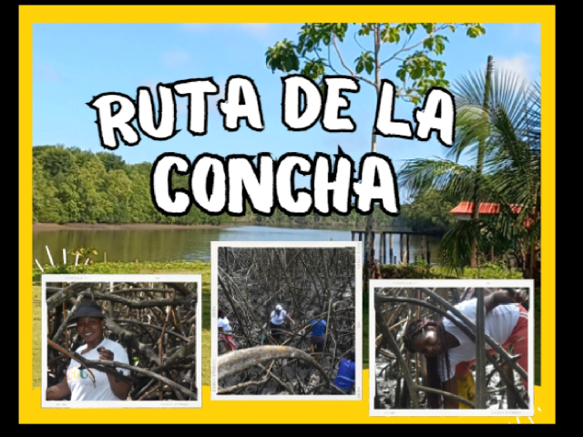 Ruta de la Concha