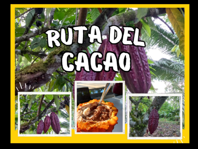 Experiencia en la Ruta del cacao