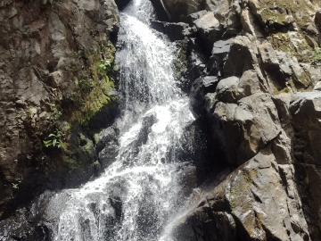 Saberes de la naturaleza