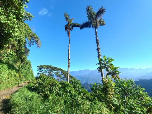 El mundo campesino de Santa Clara en la Sierra Nevada de Santa Marta