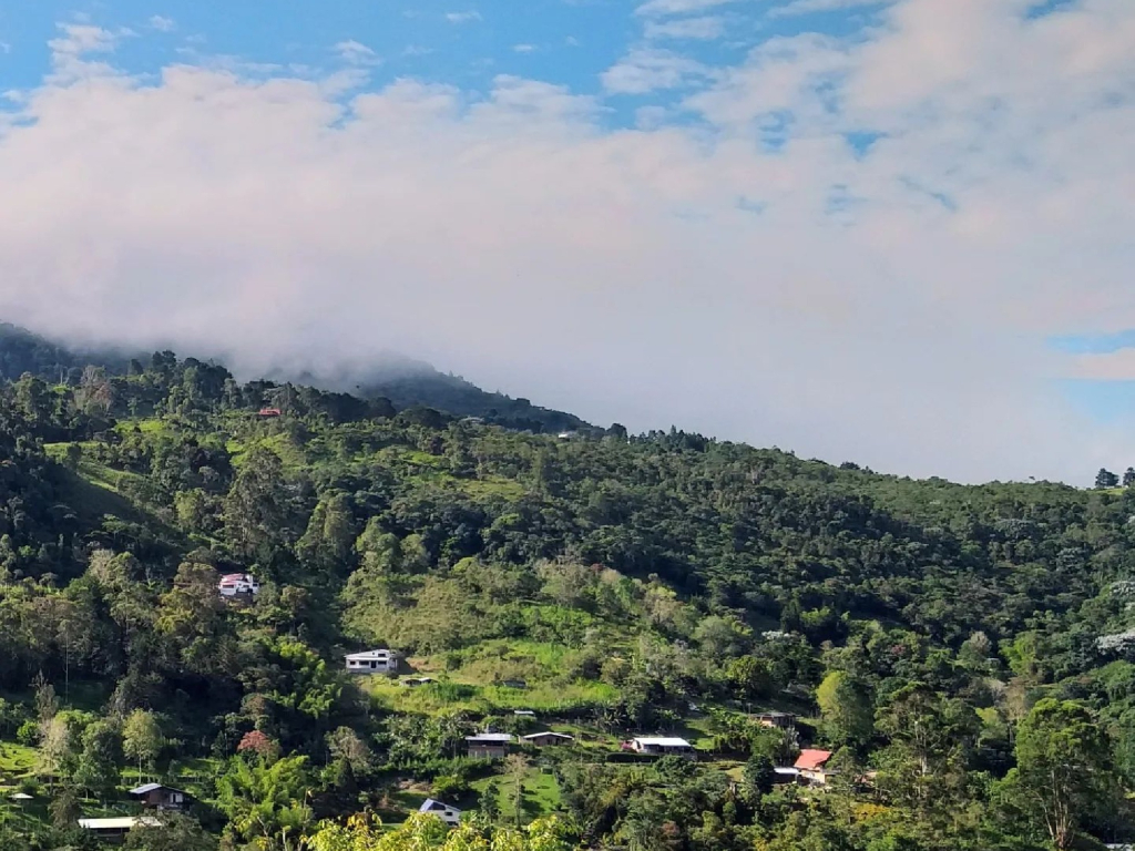 Ágora manantial: un espacio para conectarse con el ser y la naturaleza