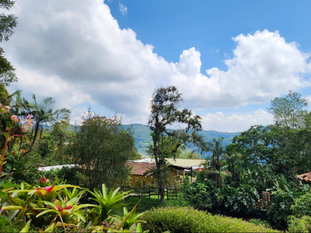 Aventura de Avistamiento de Aves en San Felipe Lodge, Paraíso Tropical del Hotspot Km 18