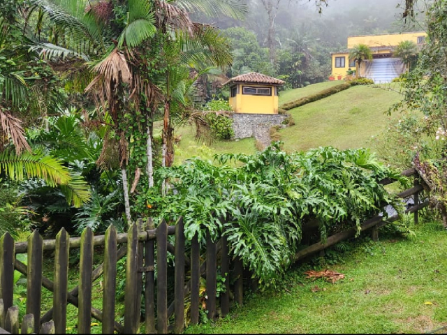 Aventura de Avistamiento de Aves en San Felipe Lodge, Paraíso Tropical del Hotspot Km 18