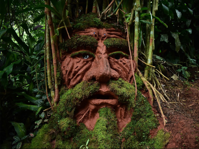 Senderos mágicos: Naturaleza y Fantasía