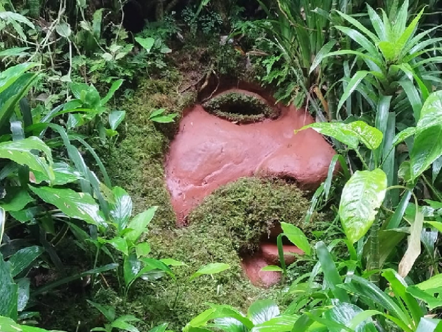 Senderos mágicos: Naturaleza y Fantasía