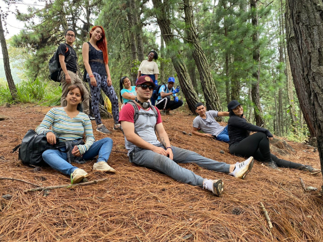 Bosque de pinos Cali