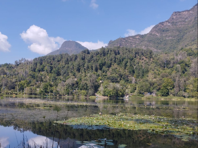 LAGUNA UBAQUE