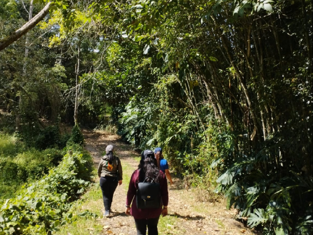 Sendero RUTA CACIQUE