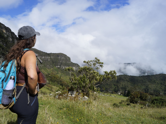 viajera