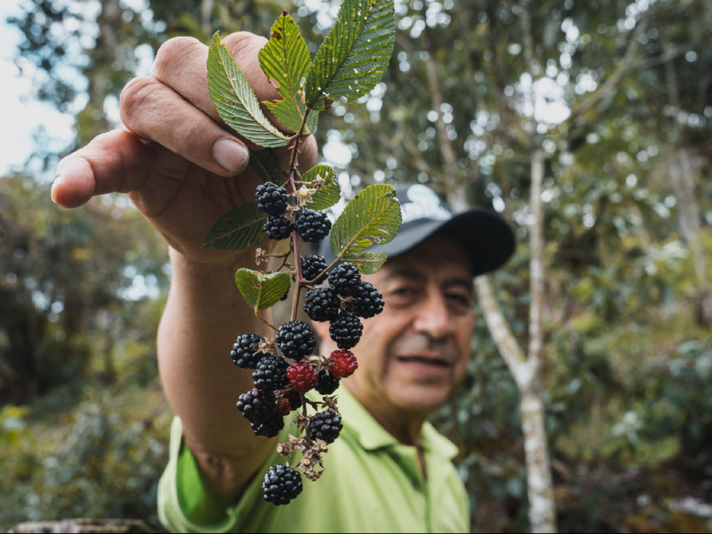 Caminata ecológica sendero 7 veces 7