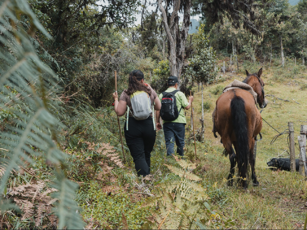 Caminata ecológica sendero 7 veces 7